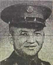 Marchewka 